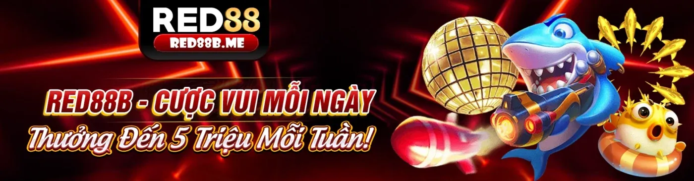 Điều Khoản Dịch Vụ của 888new29 - Nền tảng cá cược trực tuyến hàng đầu Việt Nam