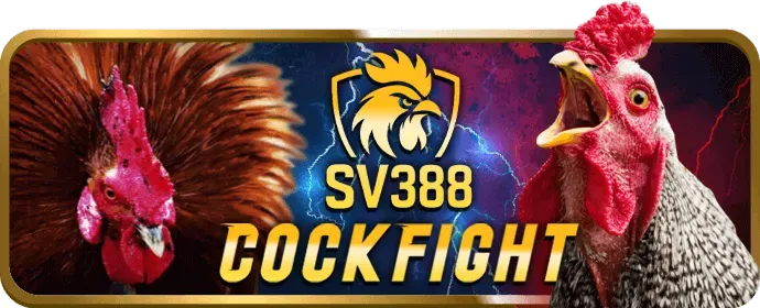 Chính sách chơi có trách nhiệm của 888new29